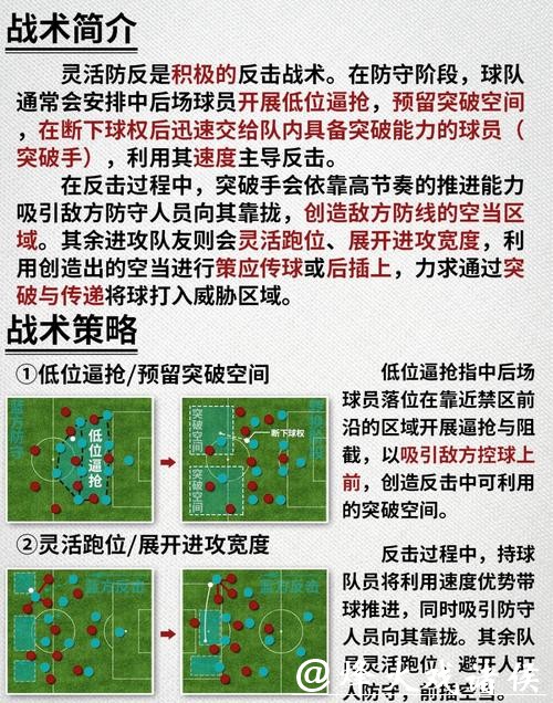 深入解析世界杯球队比赛战术与战略调整 深入解析世界杯球队比赛战术与战略调整